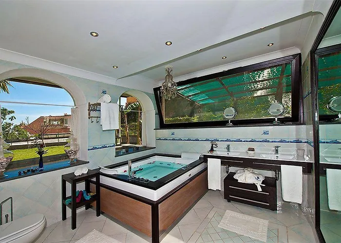 플라비오 조이아 포지타노